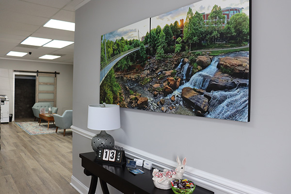 Chiropractic Greenville SC Wall Art