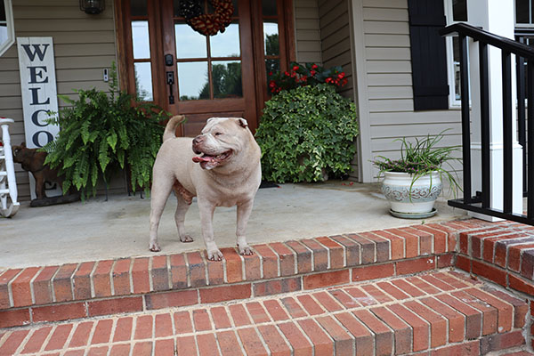 Chiropractic Greenville SC Welcome Committee